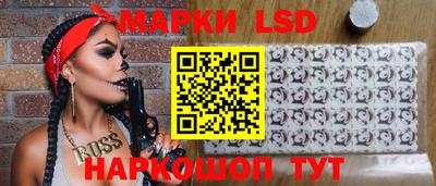 мдпв Гатчина