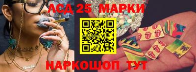 мдпв Гатчина
